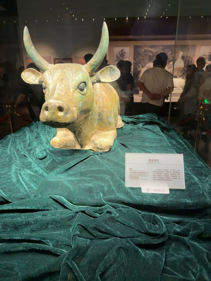 Front view of the gilded bronze ox at Ningxia Museum